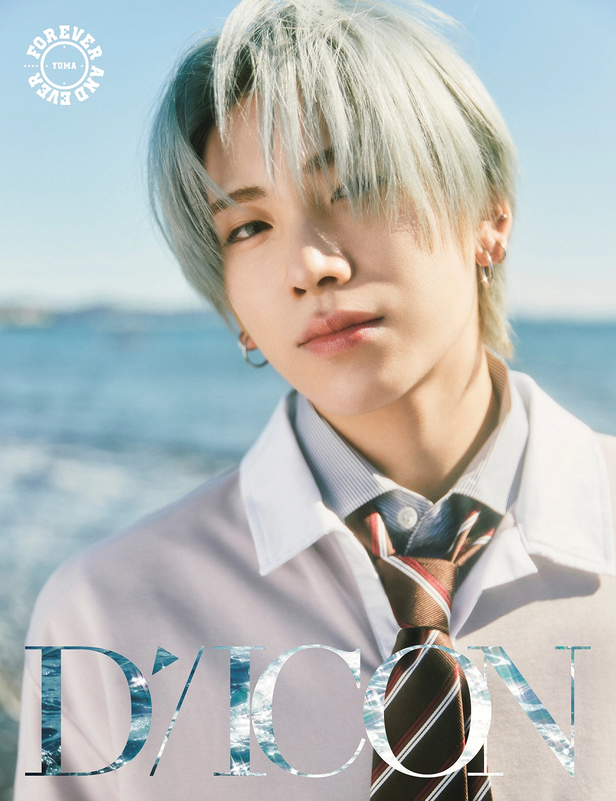 DICON VOLUME N°28 &TEAM FOREVER AND EVER