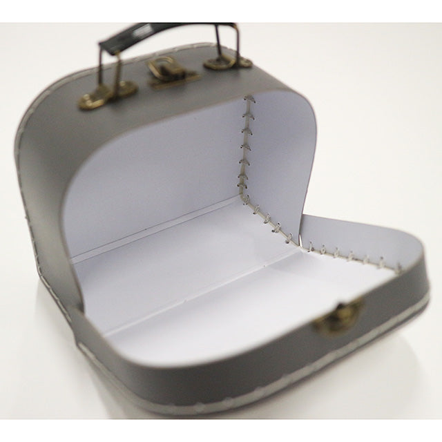 TOTORO© /JIJI Accessory Case (Japan Edition)