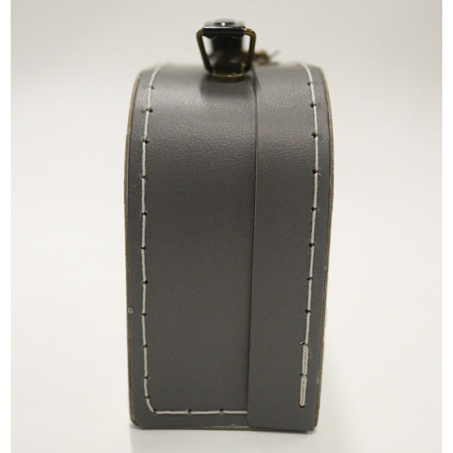 TOTORO© /JIJI Accessory Case (Japan Edition)
