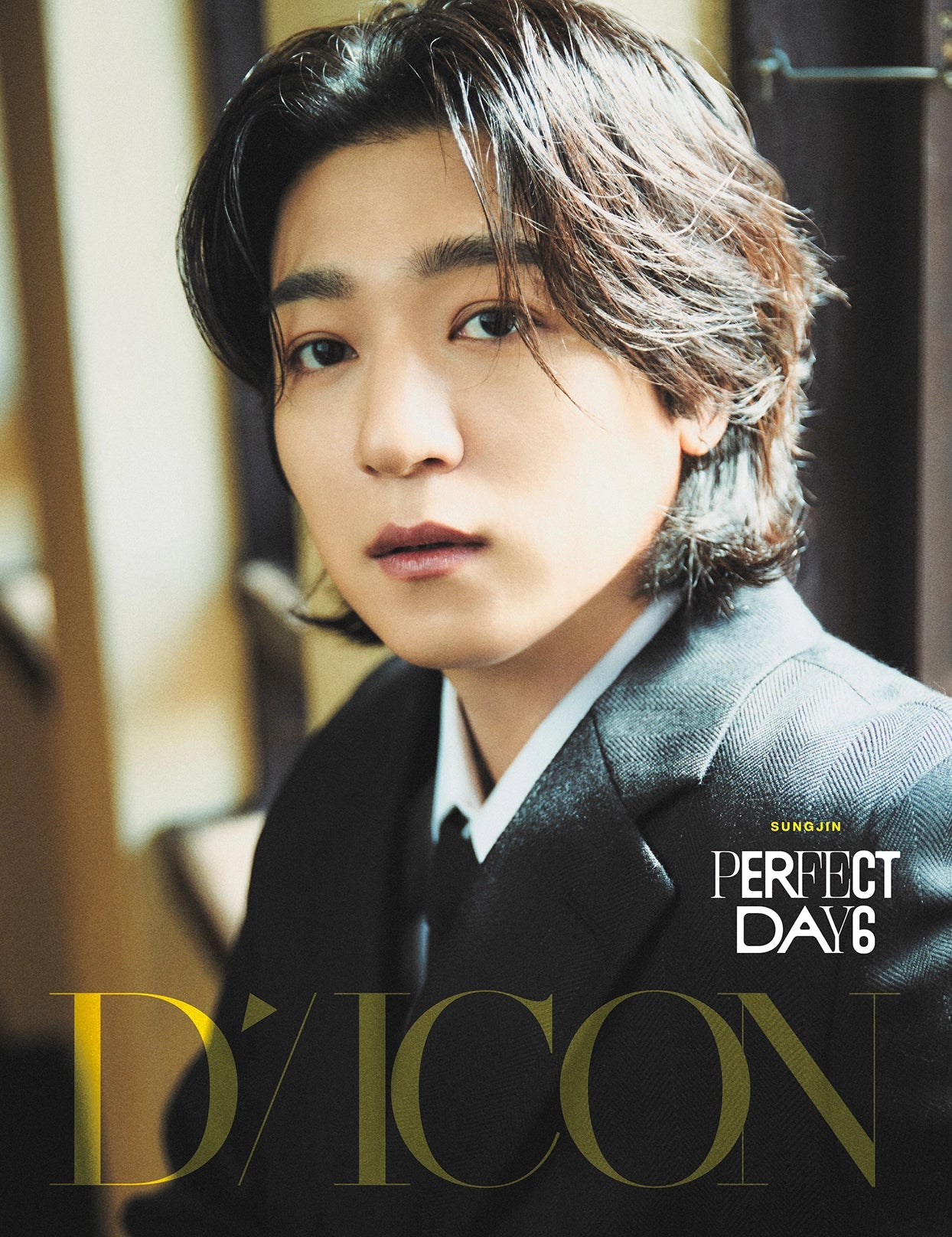 DAY6 - DICON VOLUME N°27 PERFECT DAY6 (B-TYPE) (RANDOM VER)