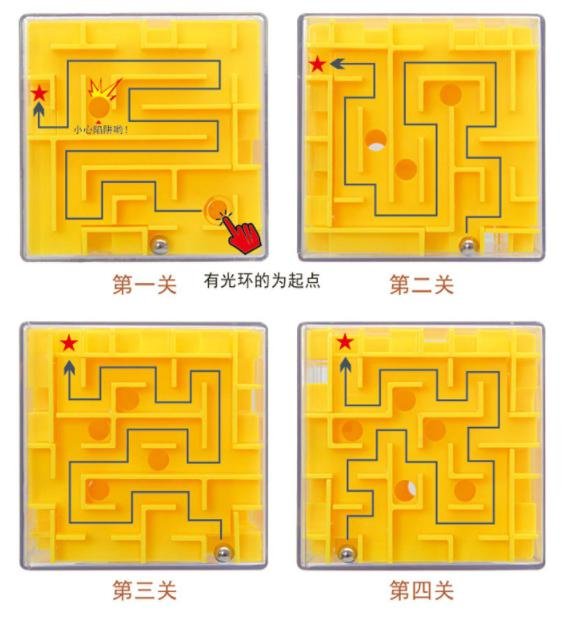 Maze Money Box
