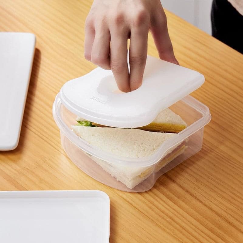 Sandwich Container with Icepack