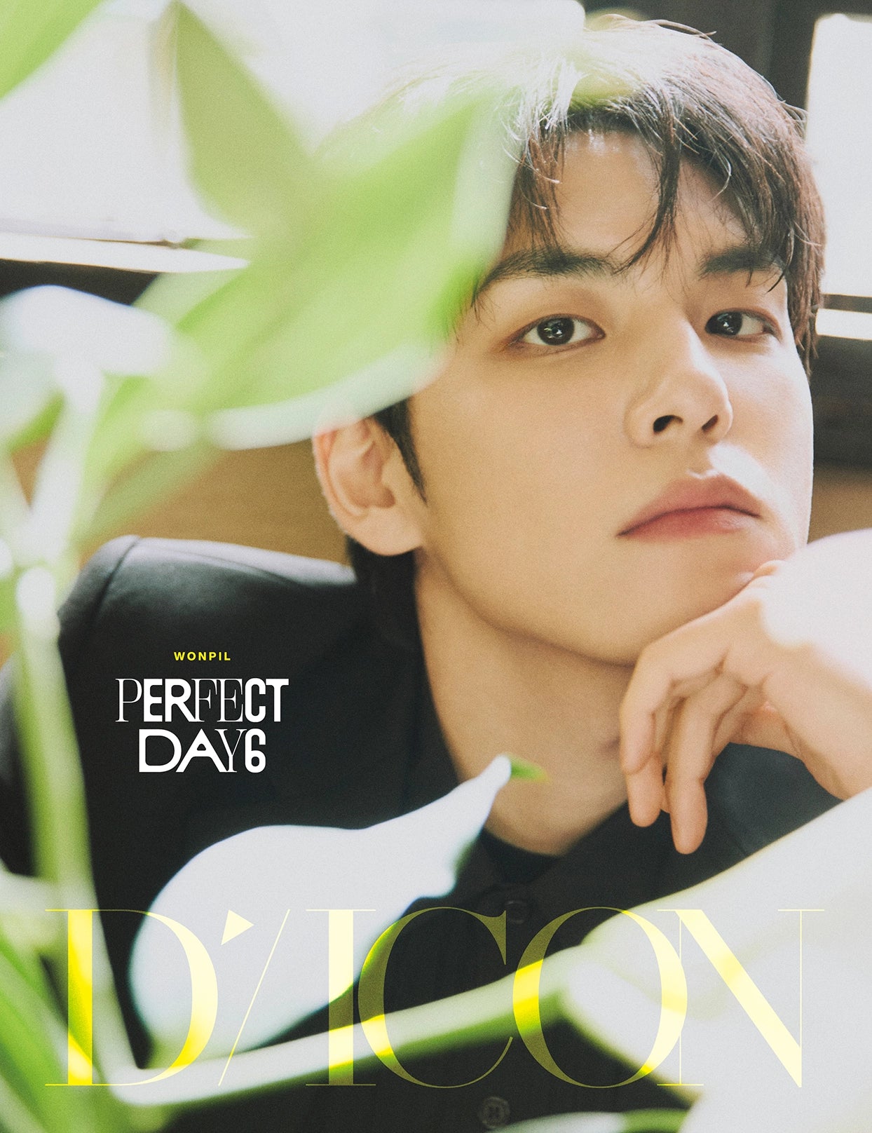 DAY6 - DICON VOLUME N°27 PERFECT DAY6 (B-TYPE) (RANDOM VER)
