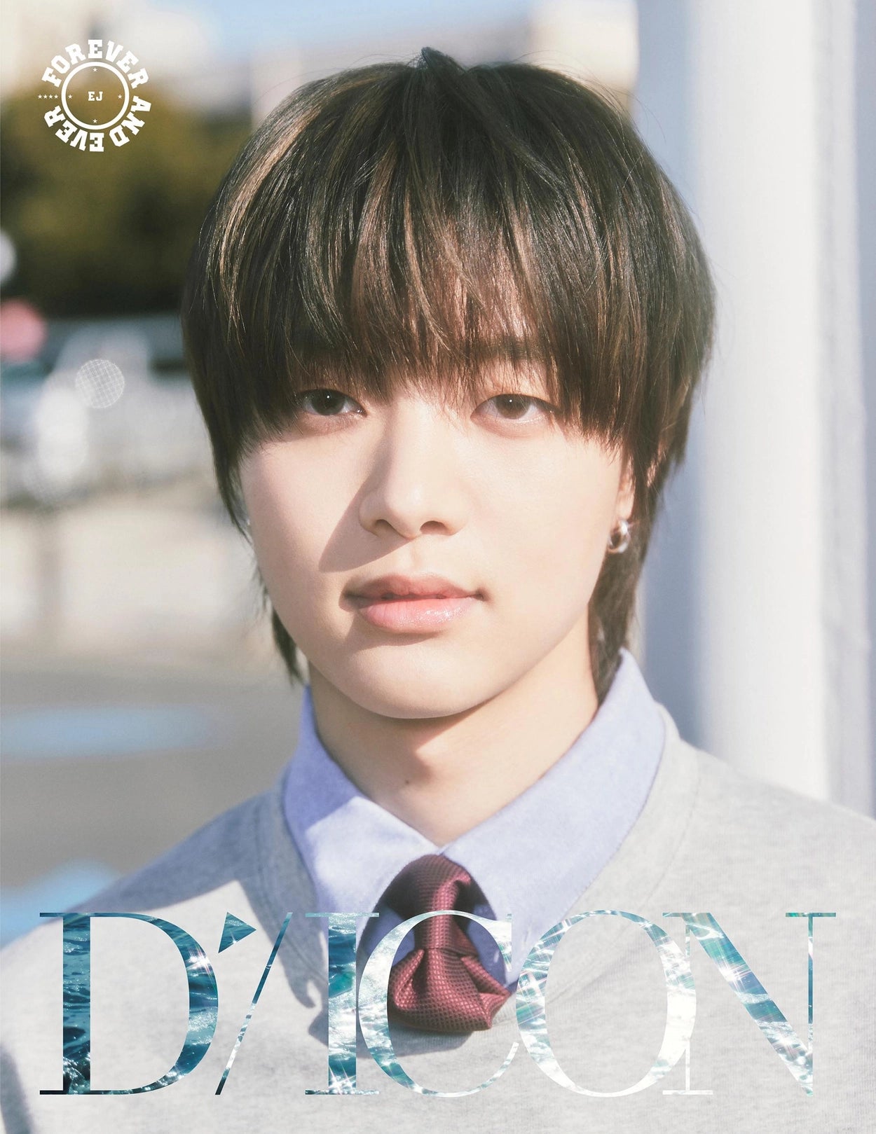 DICON VOLUME N°28 &TEAM FOREVER AND EVER
