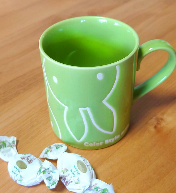 MIFFY© Down Style Mug (Japan Edition)