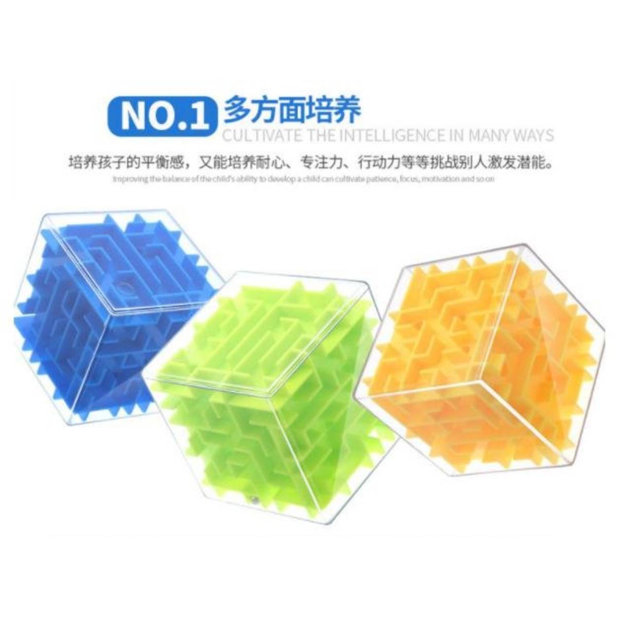 Maze Money Box