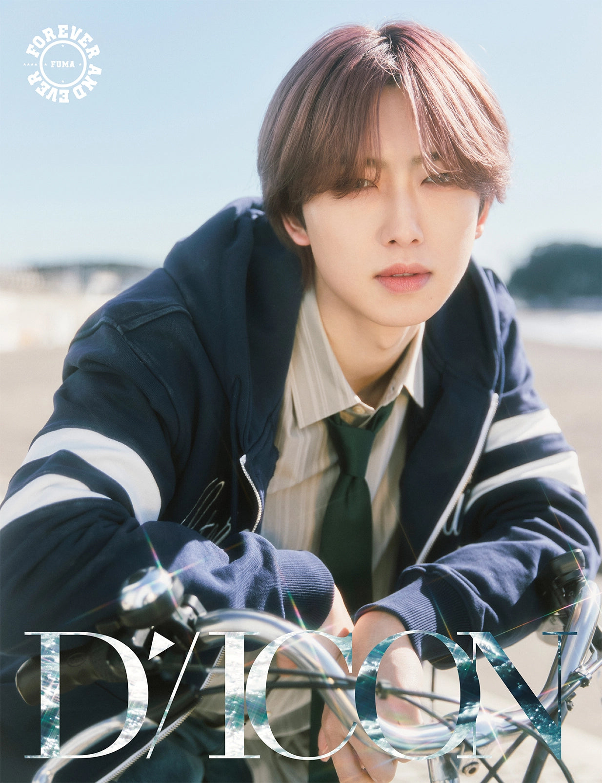 DICON VOLUME N°28 &TEAM FOREVER AND EVER