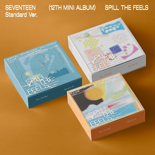 seventeen SPILL THE FEELS シリアル SEVENTEEN 12TH MINI ALBUM - SPILL THE FEELS