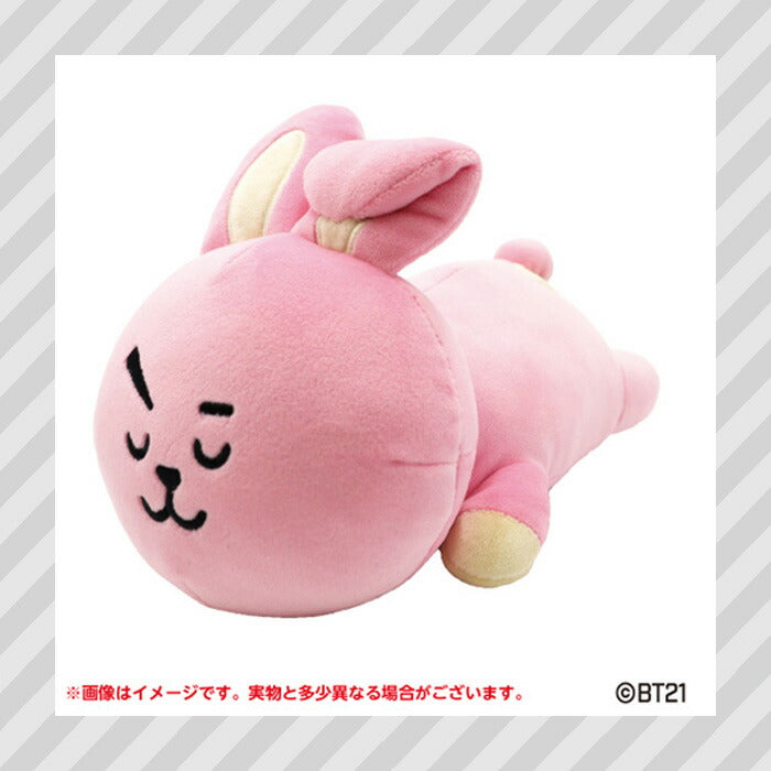 BT21© Characters Sleeping Fluffy Arm Pillow Plush (Japan Edition)
