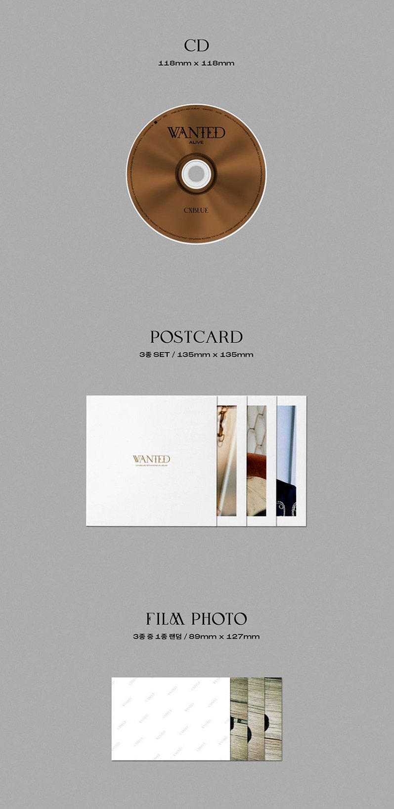 CNBLUE Mini Album Vol. 9 - WANTED