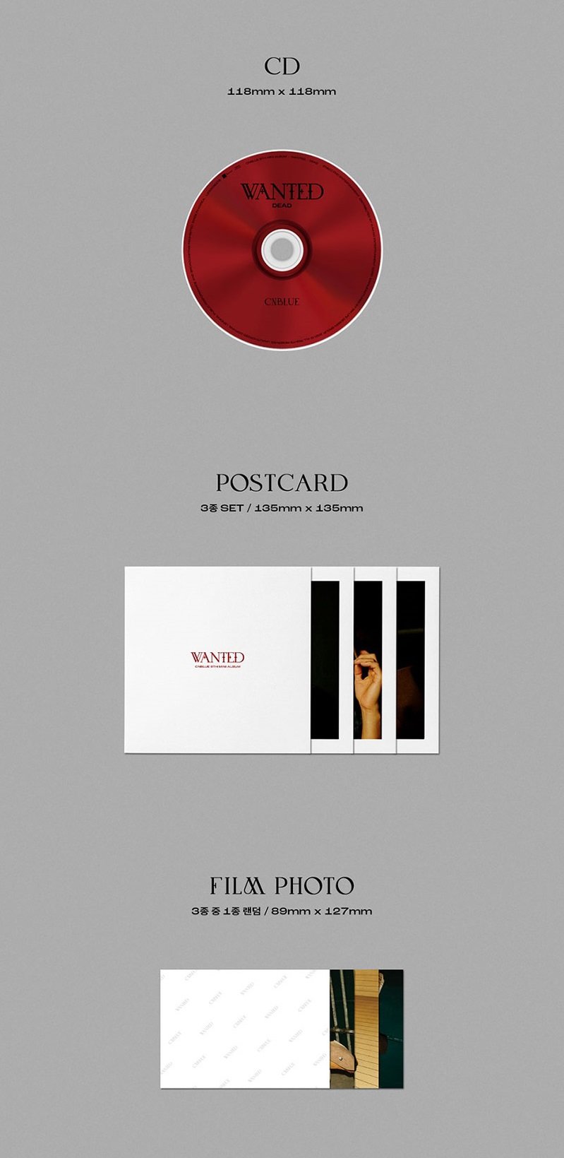 CNBLUE Mini Album Vol. 9 - WANTED