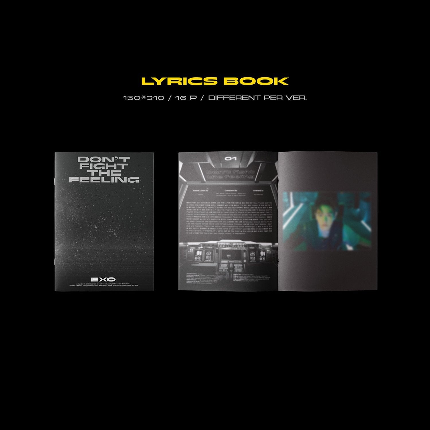EXO SPECIAL ALBUM - DON'T FIGHT THE FEELING (PHOTOBOOK VERSION 2)
