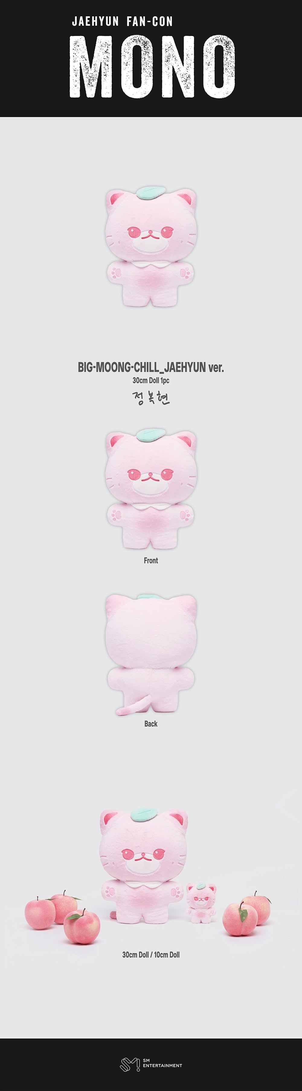 JAEHYUN - [2026 FAN-CON TOUR [MONO] MD] 30CM BIG-MOONG-CHILL (JAEHYUN VER.)