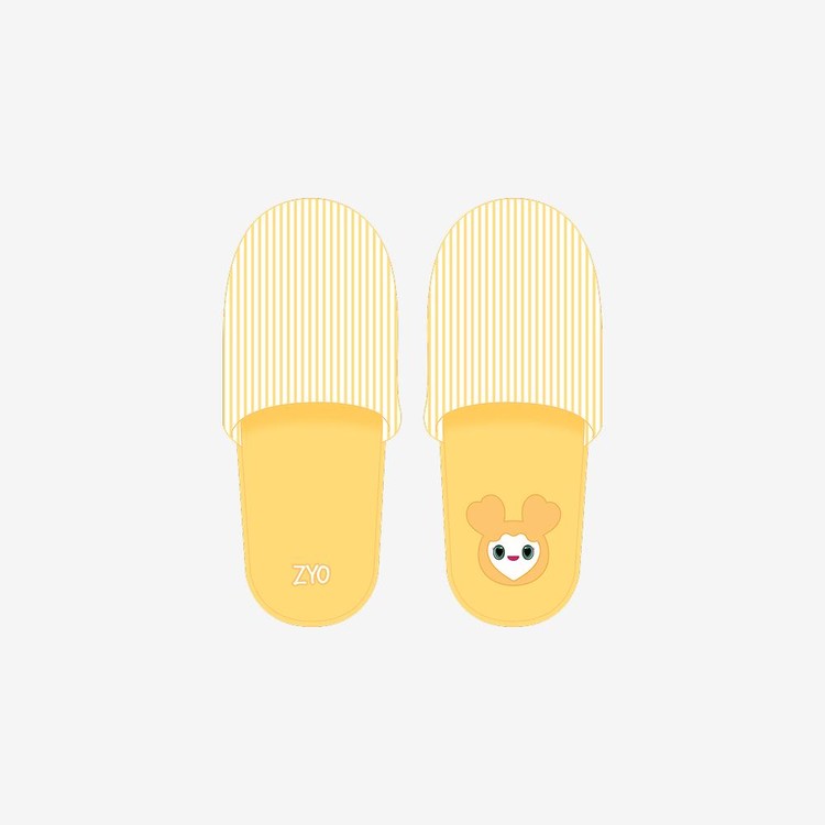 TWICE - <THIS IS FOR> WORLD TOUR IN INCHEON JIHYO ROOM SHOES
