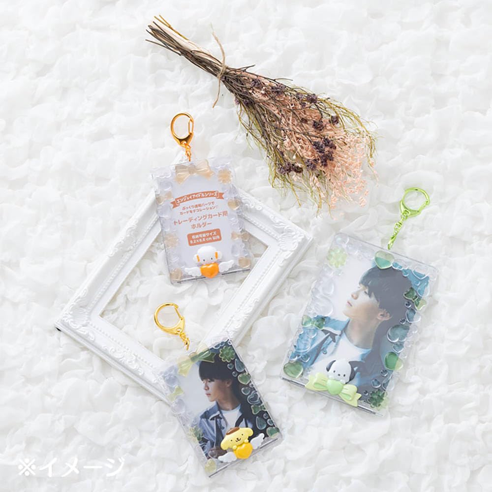 SANRIO© Photo Card Case Acrylic (Japan Limited Edition)