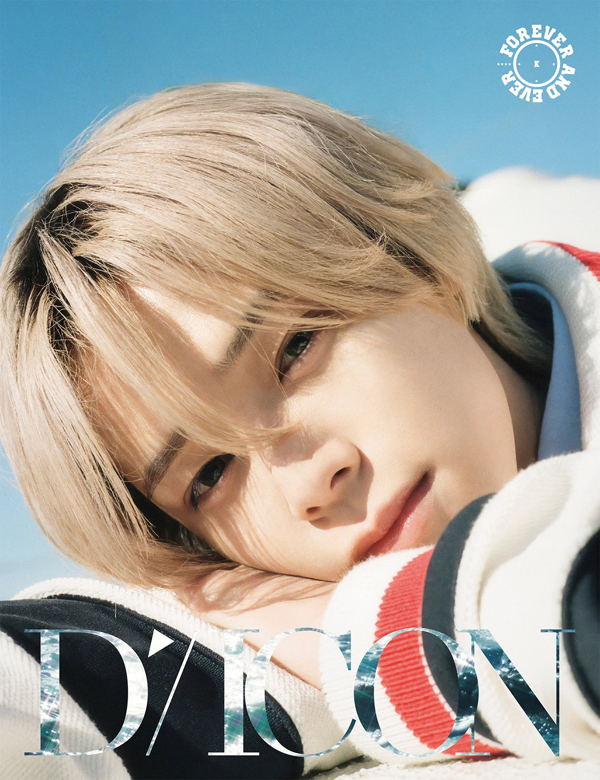 DICON VOLUME N°28 &TEAM FOREVER AND EVER