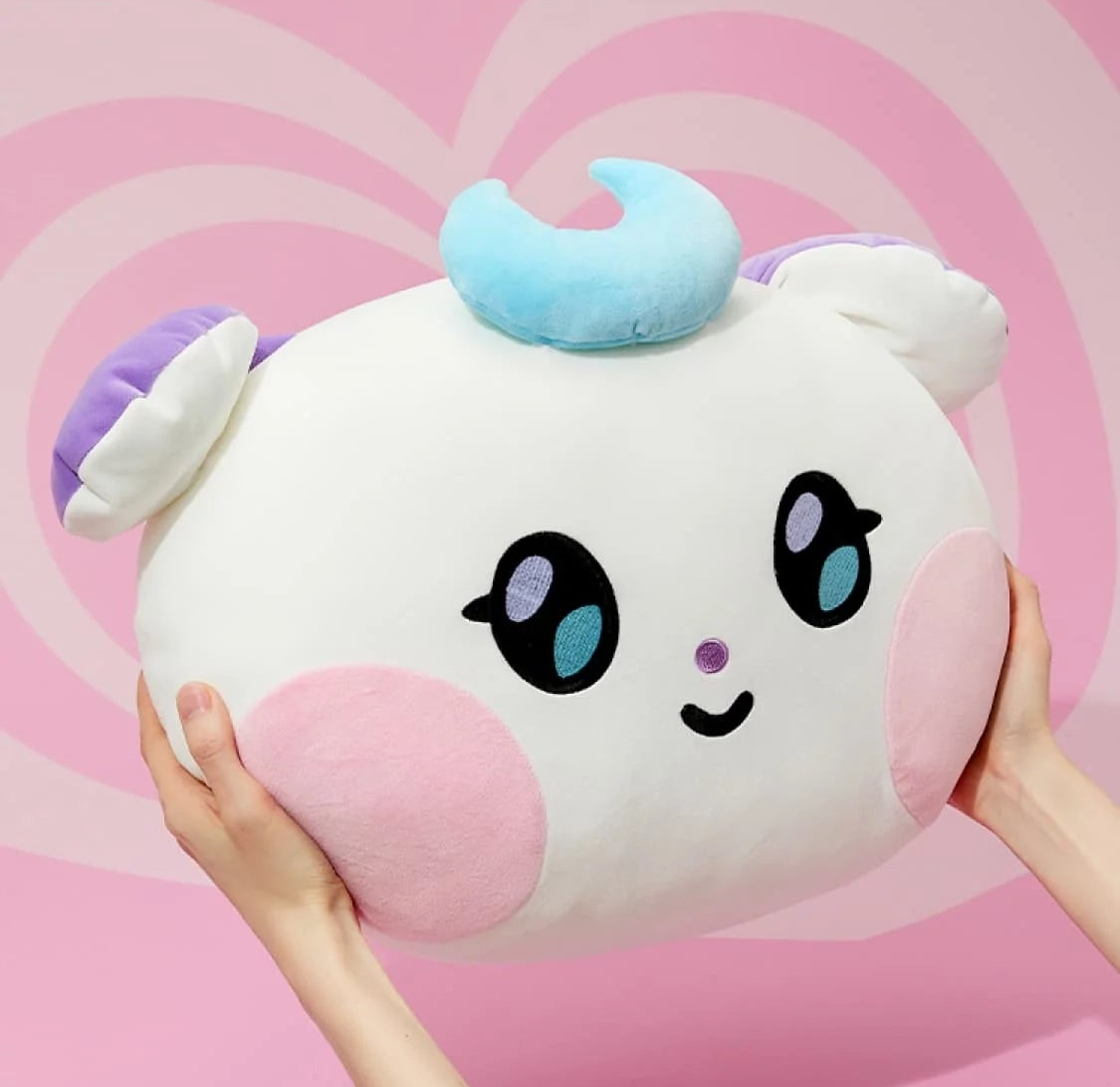 MIGHTEEZ ビッグフェイスクッション　ユノ　マイティーズ MIGHTEEZ BIG FACE CUSHION with PHOTO CARD – LINE FRIENDS SQUARE