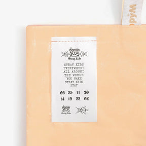 STRAY KIDS - STRAY KIDS WORLD TOUR ＜DOMINATE JAPAN＞SHOPPING BAG