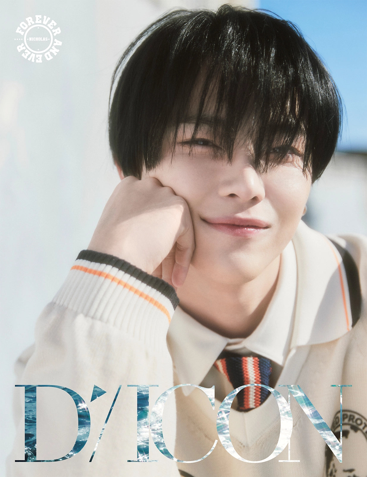 DICON VOLUME N°28 &TEAM FOREVER AND EVER