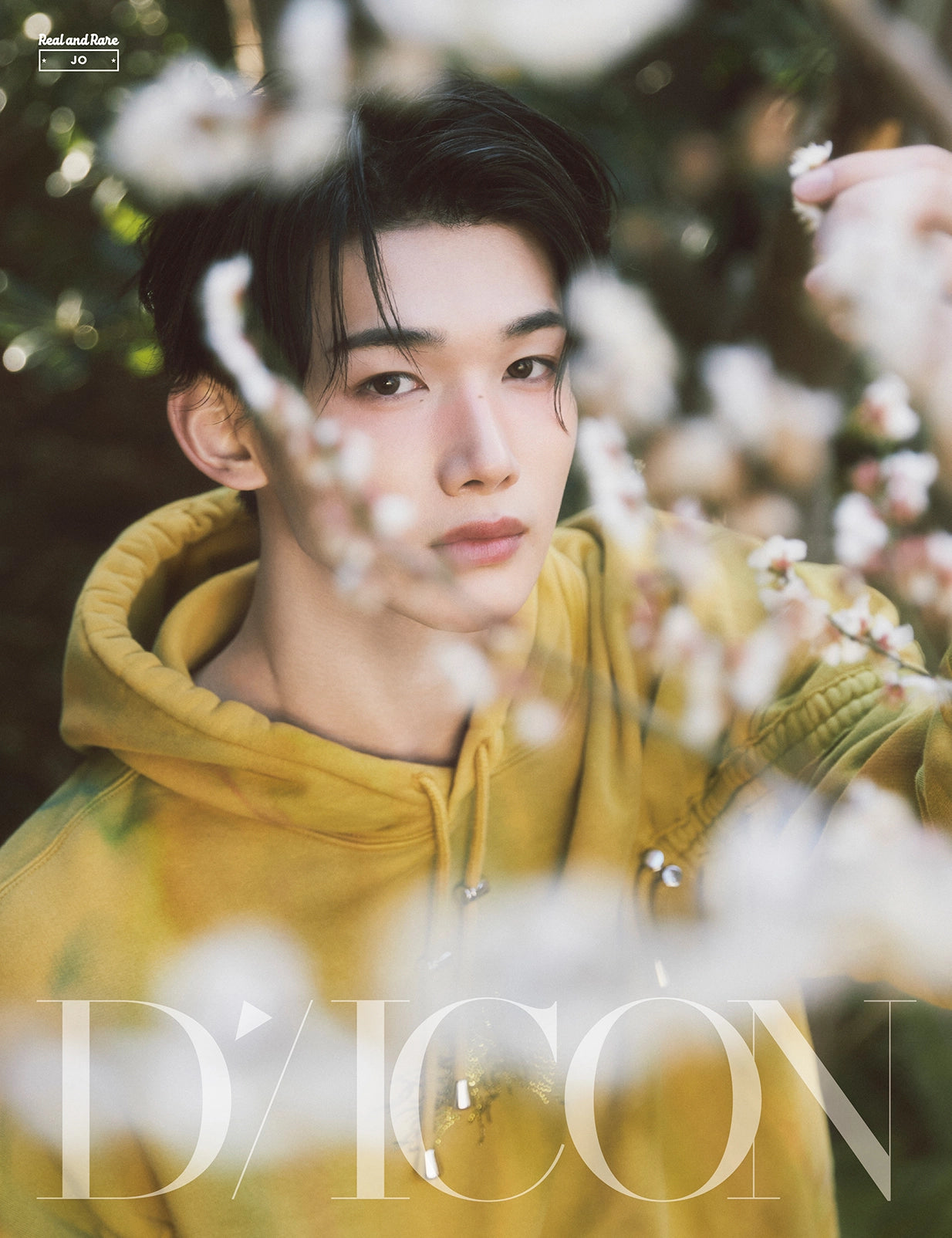 DICON VOLUME N°28 &TEAM REAL AND RARE