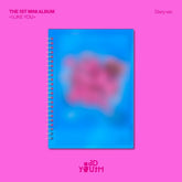 ODD YOUTH 1ST MINI ALBUM - I LIKE YOU (DIARY VER.)