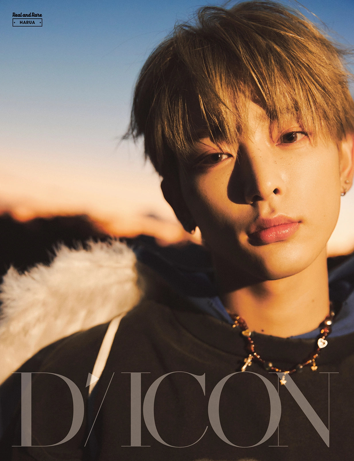 DICON VOLUME N°28 &TEAM REAL AND RARE