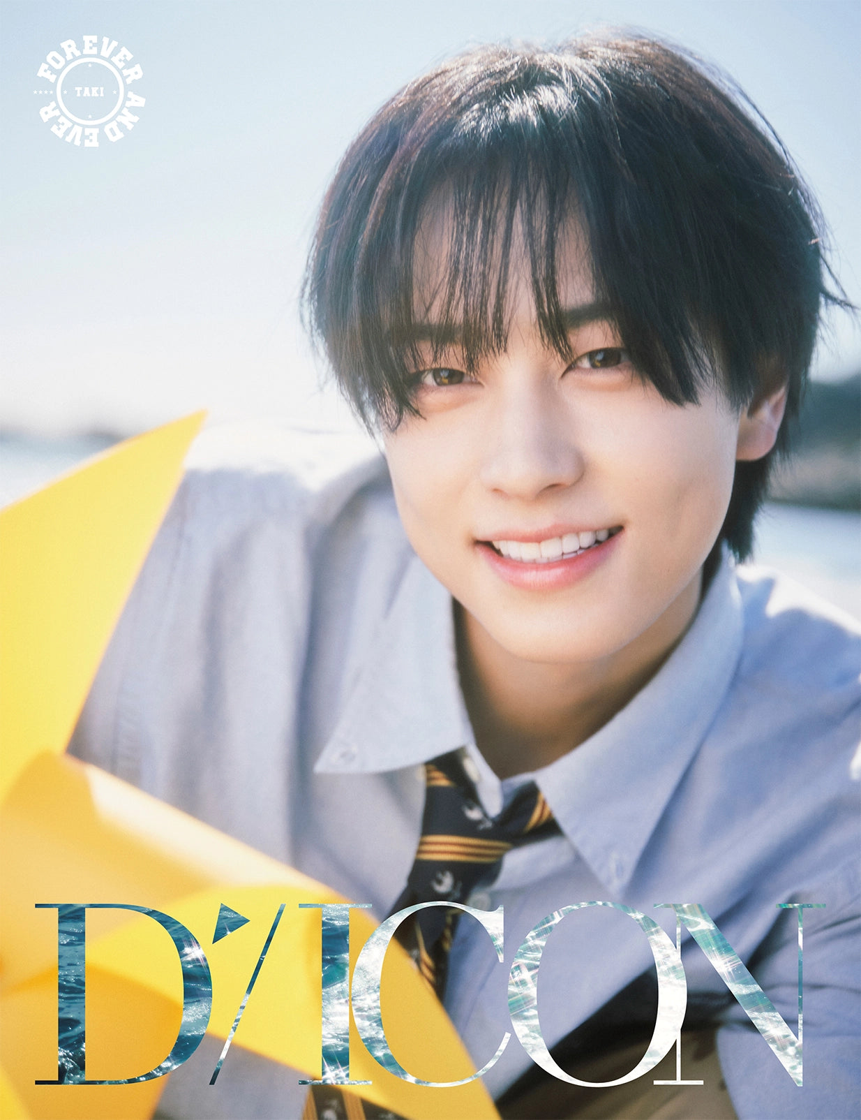 DICON VOLUME N°28 &TEAM FOREVER AND EVER