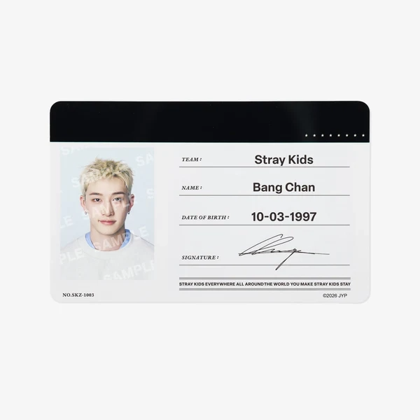 STRAY KIDS - [RUN IT JAPAN] PROFILE CARD SET