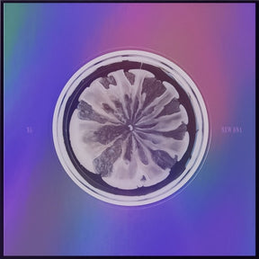 XG Mini Album Vol. 1 - NEW DNA (Korea Version)
