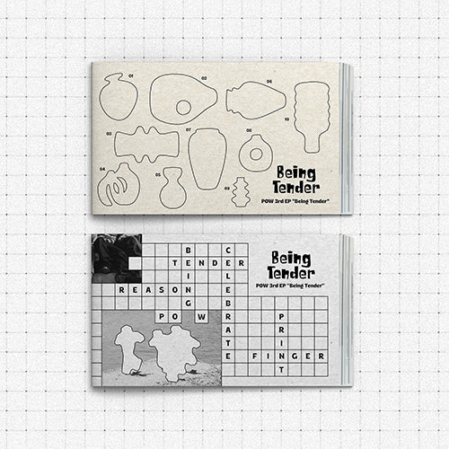 POW 3RD MINI ALBUM - BEING TENDER (PHOTOBOOK VER.)