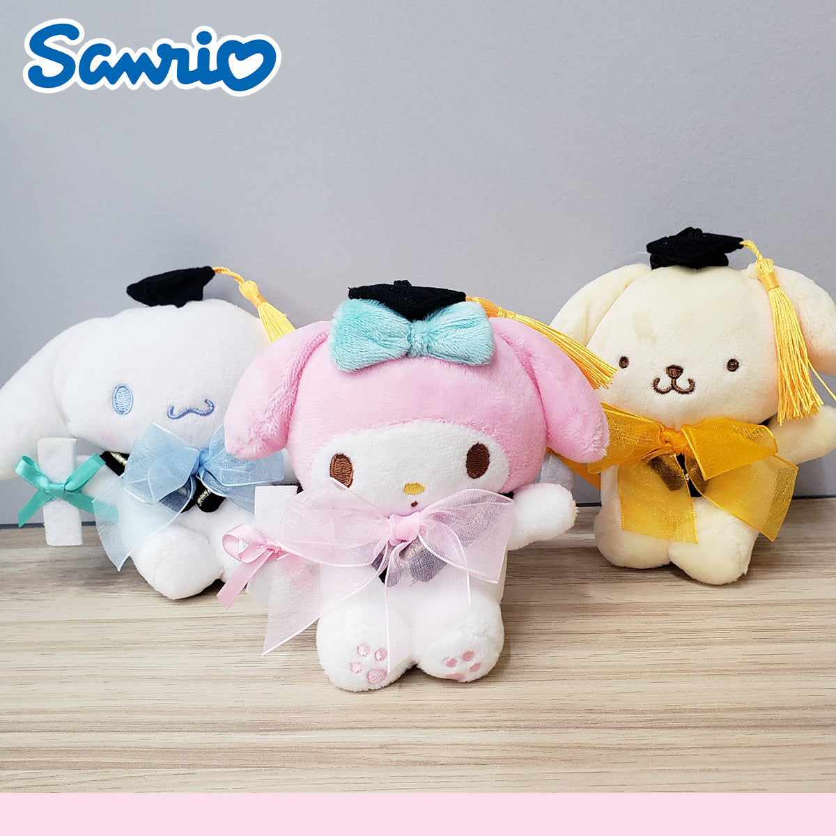 SANRIO© Graduation Hanging Plush (Korea Edition)