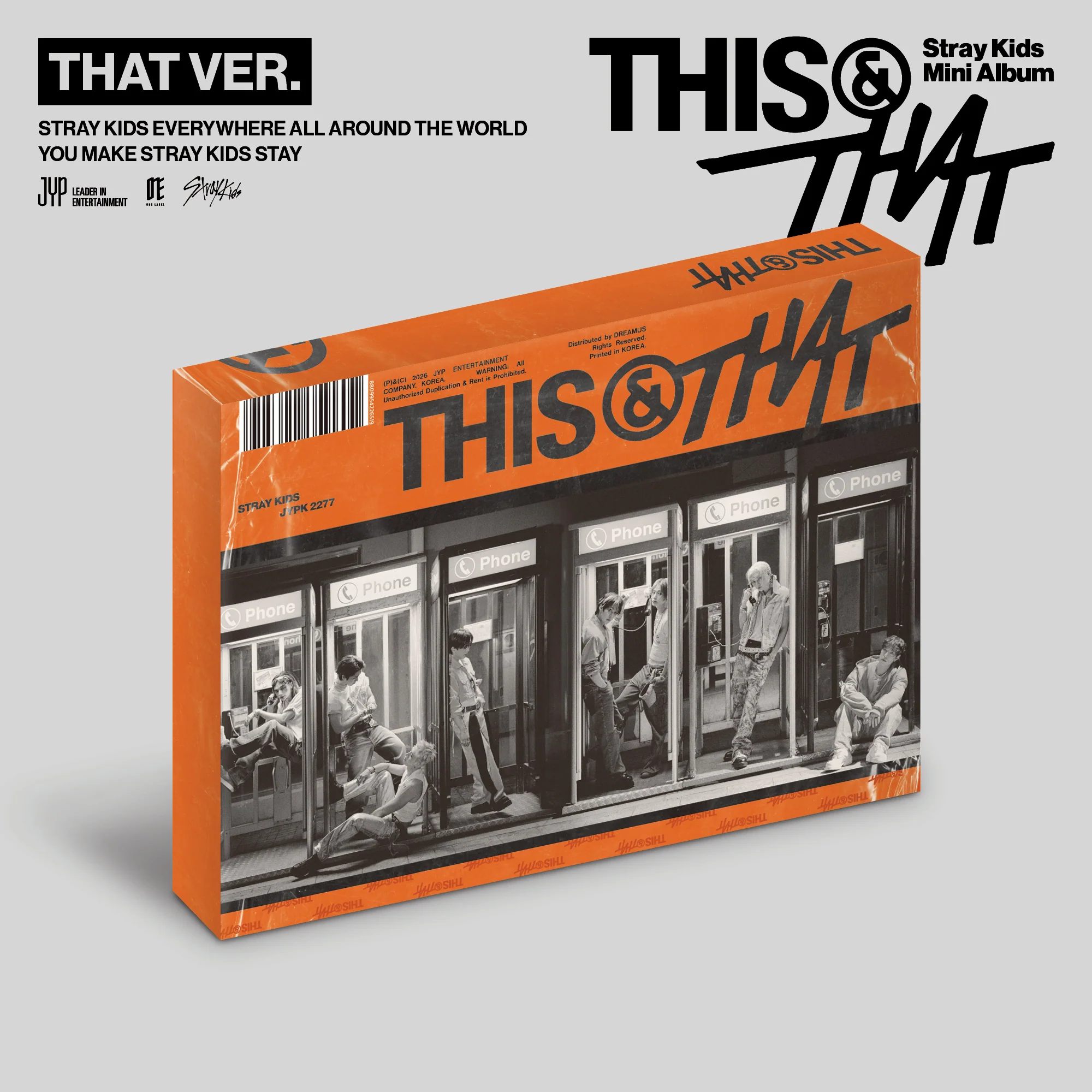 STRAY KIDS 10TH MINI ALBUM - THIS & THAT