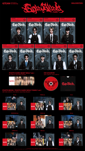 &TEAM 3RD SINGLE - GO IN BLIND (SOLO EDITION)