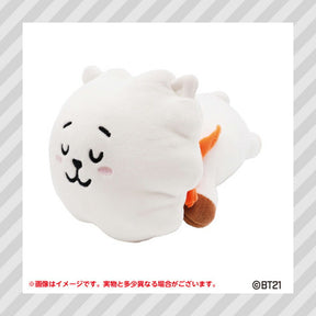 BT21© Characters Sleeping Fluffy Arm Pillow Plush (Japan Edition)