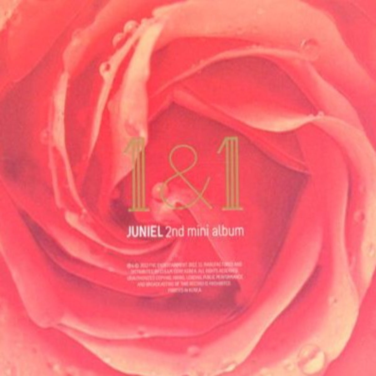 Juniel Mini Album Vol. 2 - 1&1