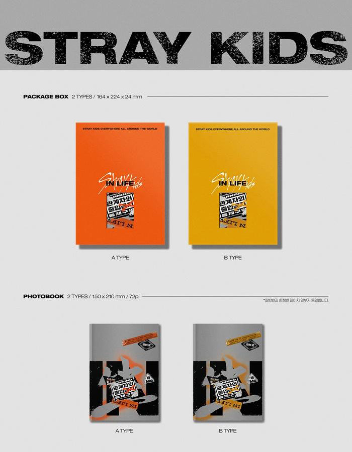 STRAY KIDS VOL. 1 REPACKAGE - IN生: IN LIFE