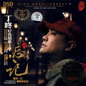 丁咚 - 忘記2 (DSD)